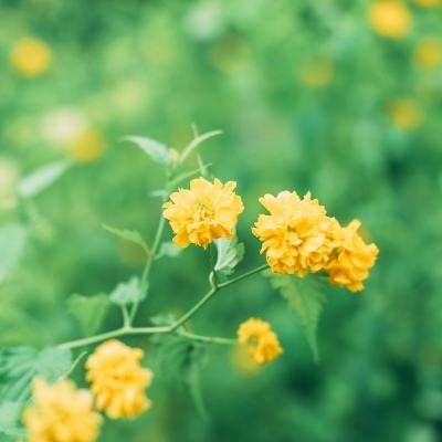 小小屠龙无限版下载